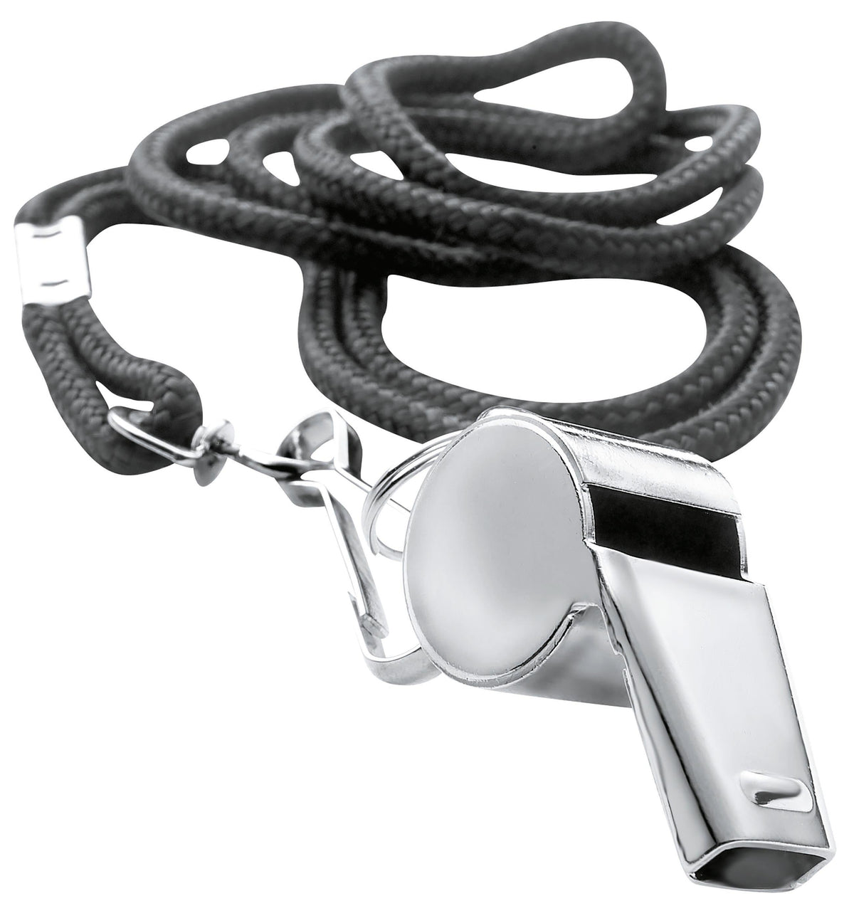 Whistle & Lanyard