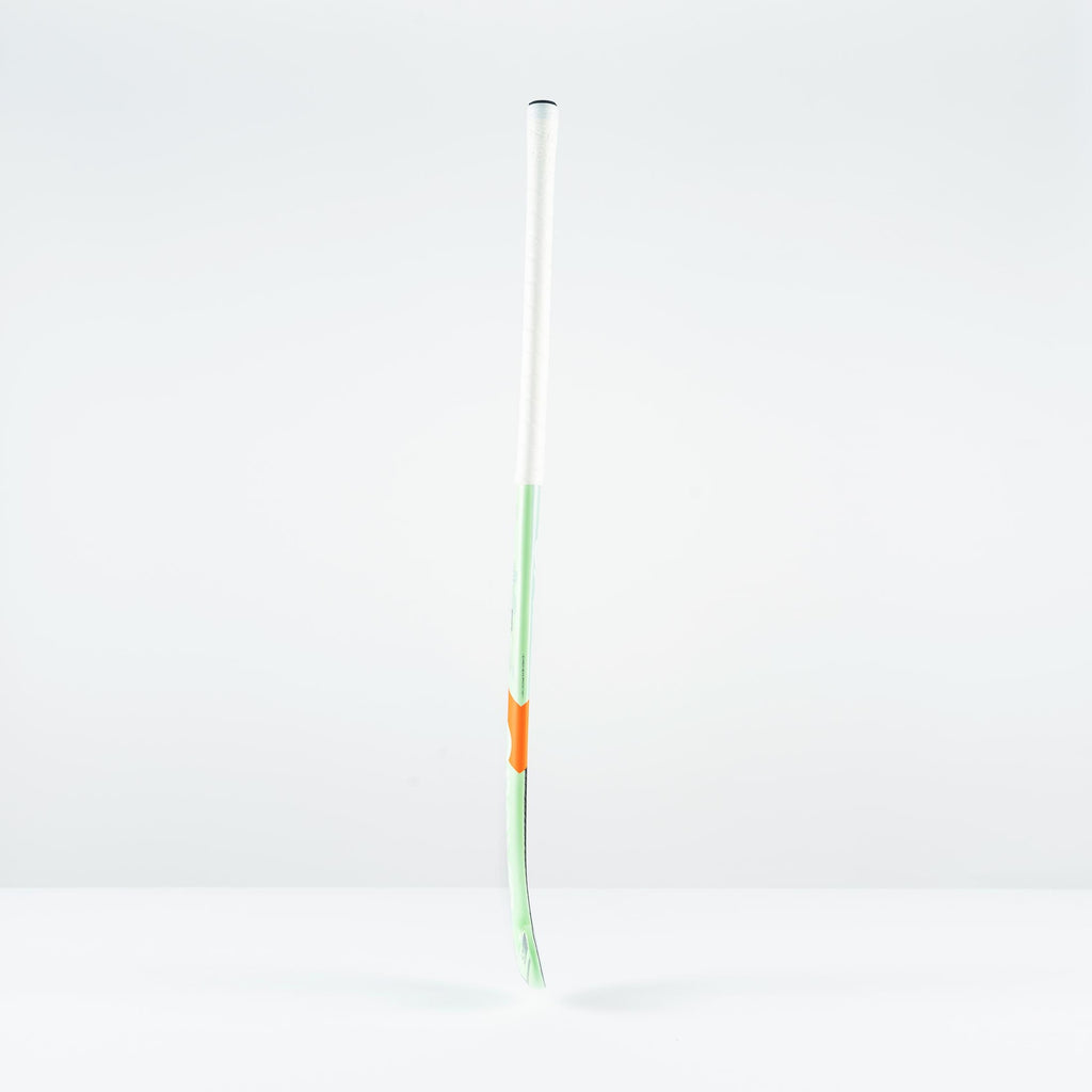 HAEG26Composite Sticks JB5 Mint, Profile